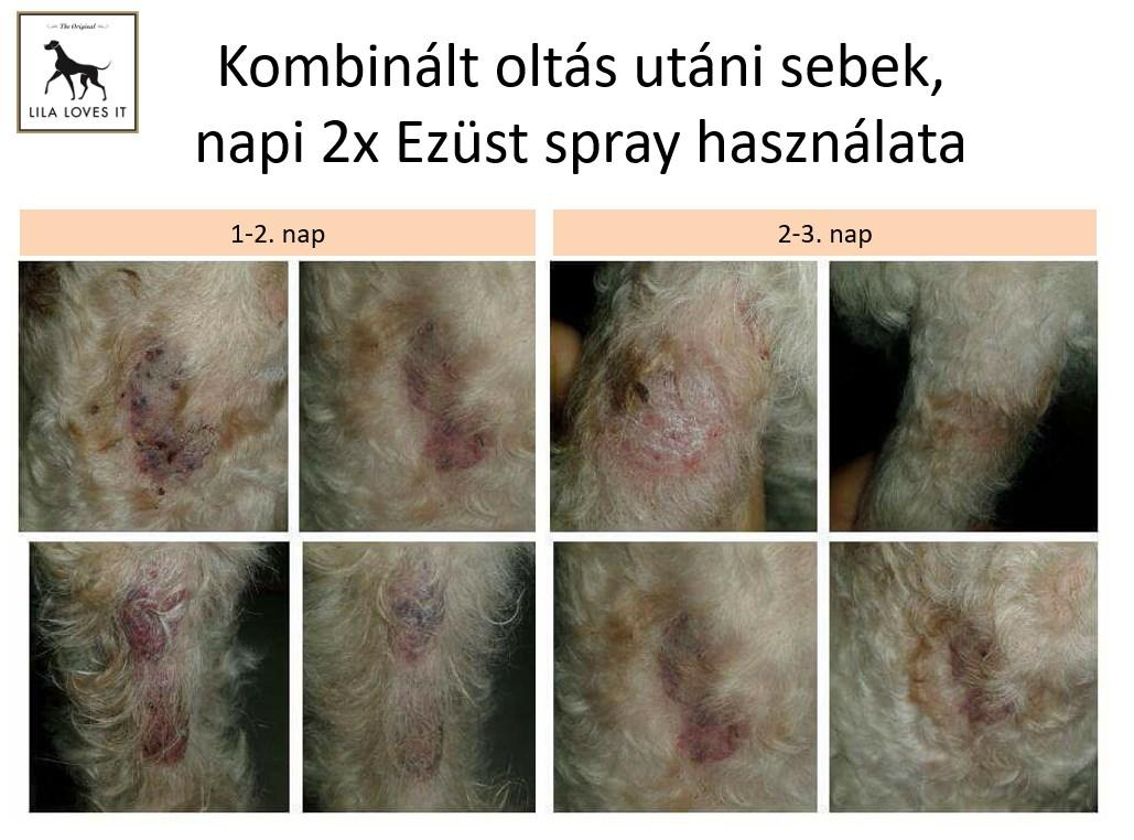 Pápai vizeken ne kalózkodj!